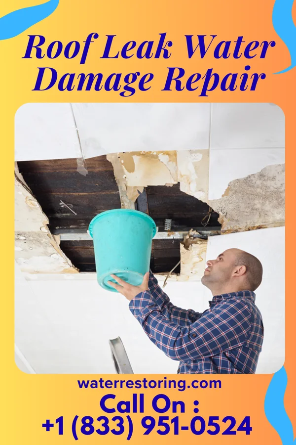 Roof Leak Water Damage Repair in Cresson, TX